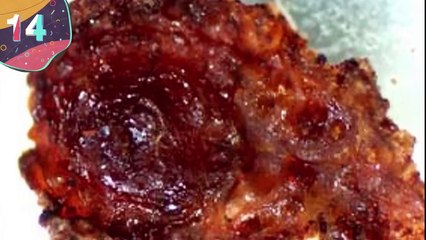 15 INCREDIBLE Animal Fossils