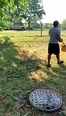Group Works To Rescue Ducklings From Sewer