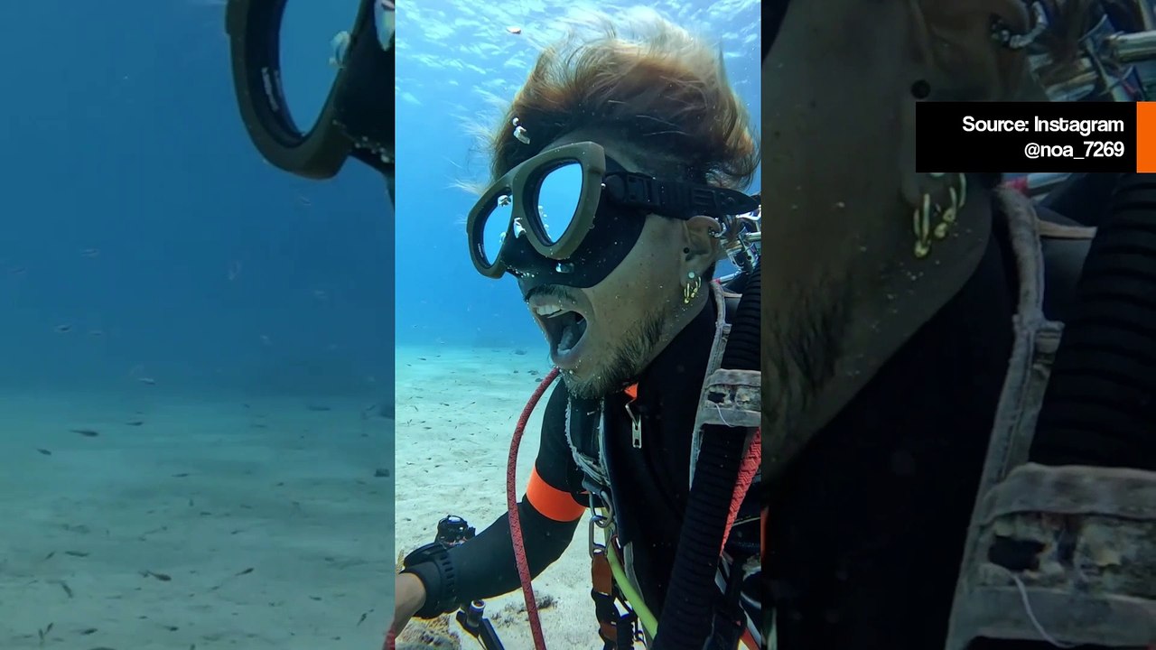 Unglaublich! Zahnarztfisch geht in den Mund eines Tauchers, um eine gründliche Reinigung vorzunehmen