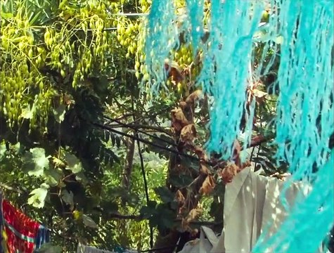 De la Conquête Bande-annonce VF