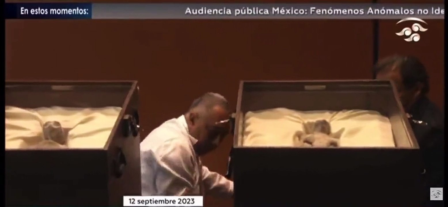 Il mistero dei "corpi alieni" mostrati da un esperto di Ufo al Parlamento messicano