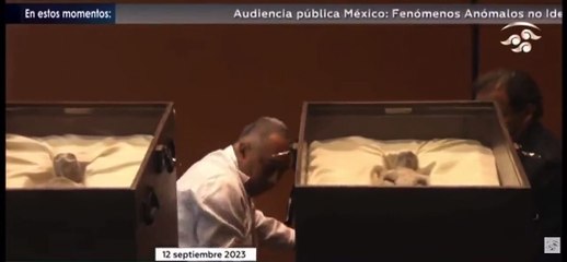 Il mistero dei "corpi alieni" mostrati da un esperto di Ufo al Parlamento messicano