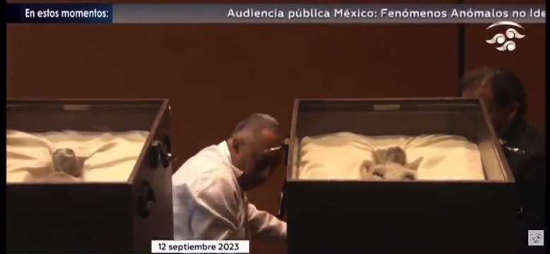 Il mistero dei corpi alieni mostrati da un esperto di Ufo al Parlamento messicano
