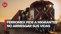 Nueva oleada de migrantes desafía la ruta del tren a Estados Unidos