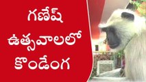 మహబూబాబాద్: పూజ సామాగ్రి రక్షణ కోసం కొండెంగను ఏర్పాటు చేసిన కమిటీ నిర్వాహకులు