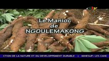 Magazine: Le Manioc de Ngoulemakong - 19 Septembre 2023