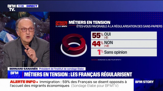 Immigration: 55% des Français sont favorables à la régularisation des sans-papiers (sondage Elabe/BFMTV)
