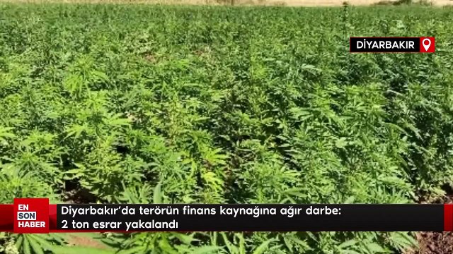 Diyarbakır'da terörün finans kaynağına ağır darbe: 2 ton esrar yakalandı