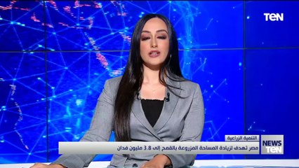 د. محمد القرش المتحدث باسم وزارة الزراعة يكشف جهود الدولة في توسيع المساحة المزروعة بالقمح