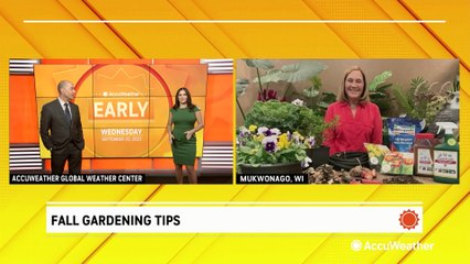 Fall Gardening Tips for Success 🍂