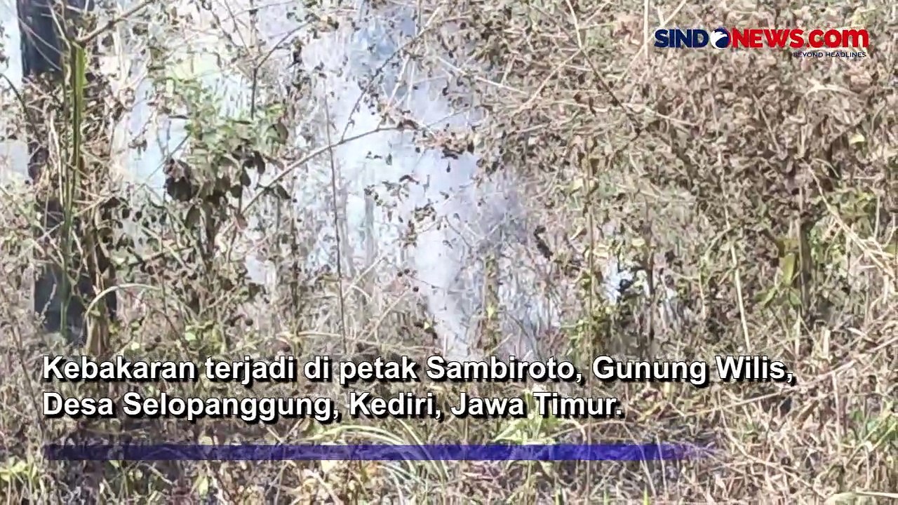 Lereng Gunung Wilis Terbakar, BPBD Imbau Warga Tidak Buka Lahan di Area Hutan