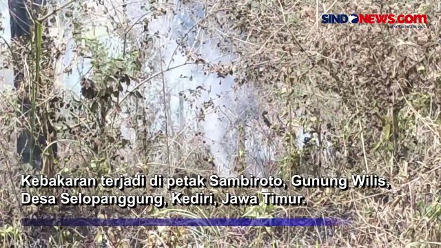 Lereng Gunung Wilis Terbakar, BPBD Imbau Warga Tidak Buka Lahan di Area Hutan