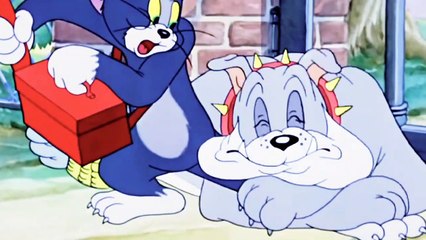 Tom And Jerry New Cartoon Series 2023।। Tom and Jerry Video