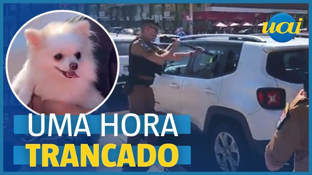 Cãozinho preso em porta-malas de carro é resgatado pela PM