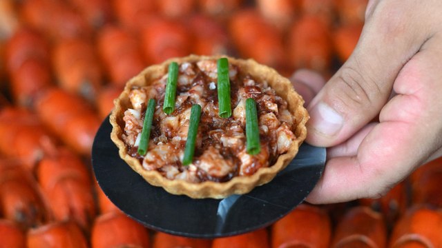 Écureuil gris, écrevisses américaines... Des espèces invasives au menu d’un restaurant à Londres