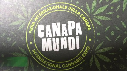 Stop alla vendita di olio cbd senza ricetta, Canapa Mundi: "Ricorso al Tar"