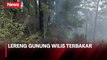 Lereng Gunung Wilis Terbakar, Petugas dan Warga Berjibaku Padamkan Api