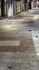 Dezenas de ratos correm pelas ruas da Corunha