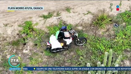 Traficantes de huevos de tortuga arrasan con las nidadas en playa Morro Ayuta