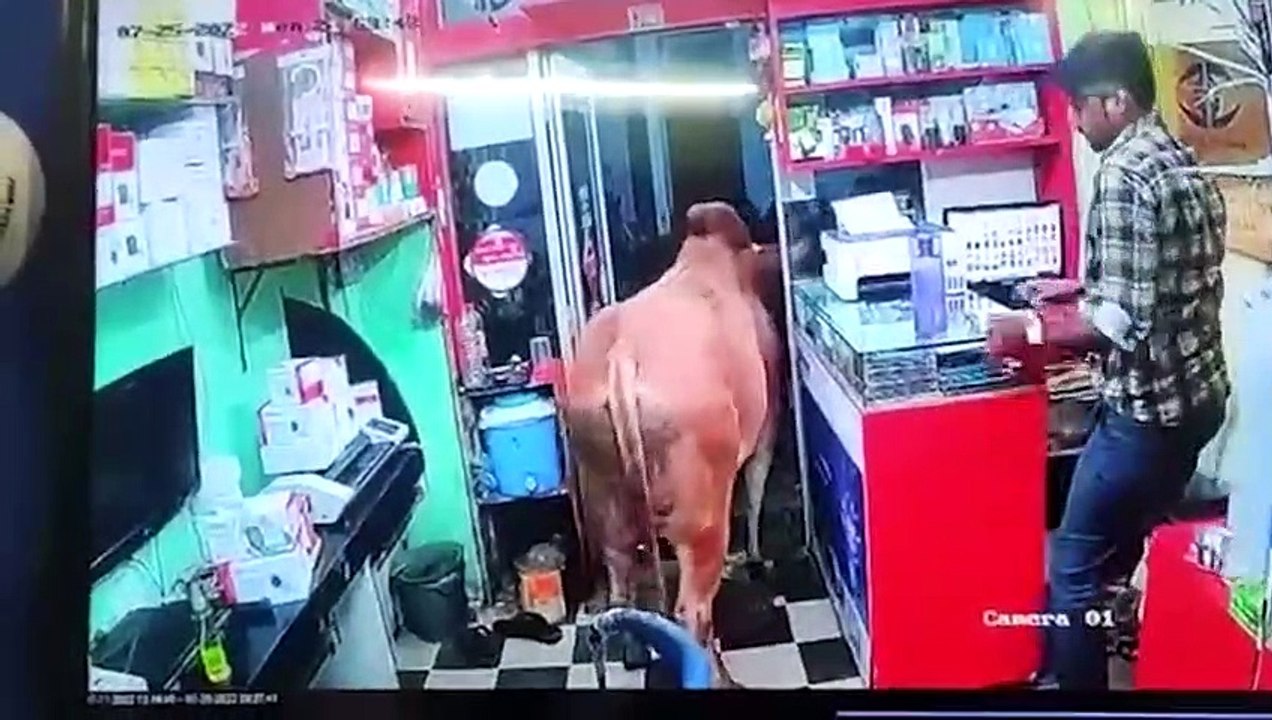 55 Moments Incroyables Filmés Par des Caméras de Surveillance (3)