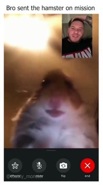 Memes I found on Reddit[4].#shorts #reddit #viral #funny #dankmemes