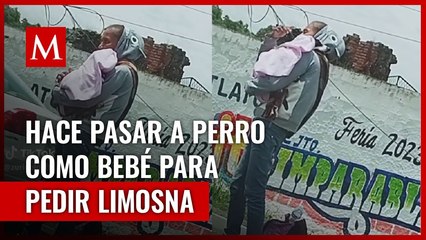 Mujer pide limosna con su bebé en las calles; se trataba de un perro y fue evidenciada en redes