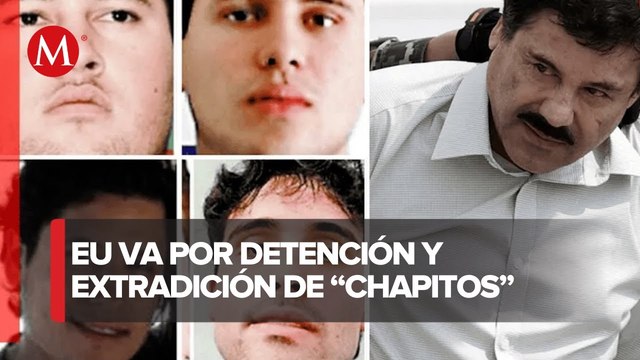 EU pedirá extradición de Los Chapitos cuando hayan sido detenidos en México