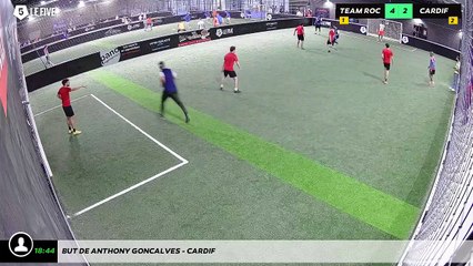 But de ANTHONY GONCALVES - Cardif