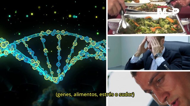 Dermatitis atópica vs. dermatitis por contacto: ¿Cuál es la diferencia?