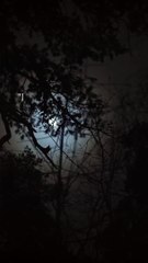 “It’s not the years in your life that count. It’s the life in your years.”