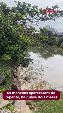 Ribeirão Ariribá aparece com manchas de poluição