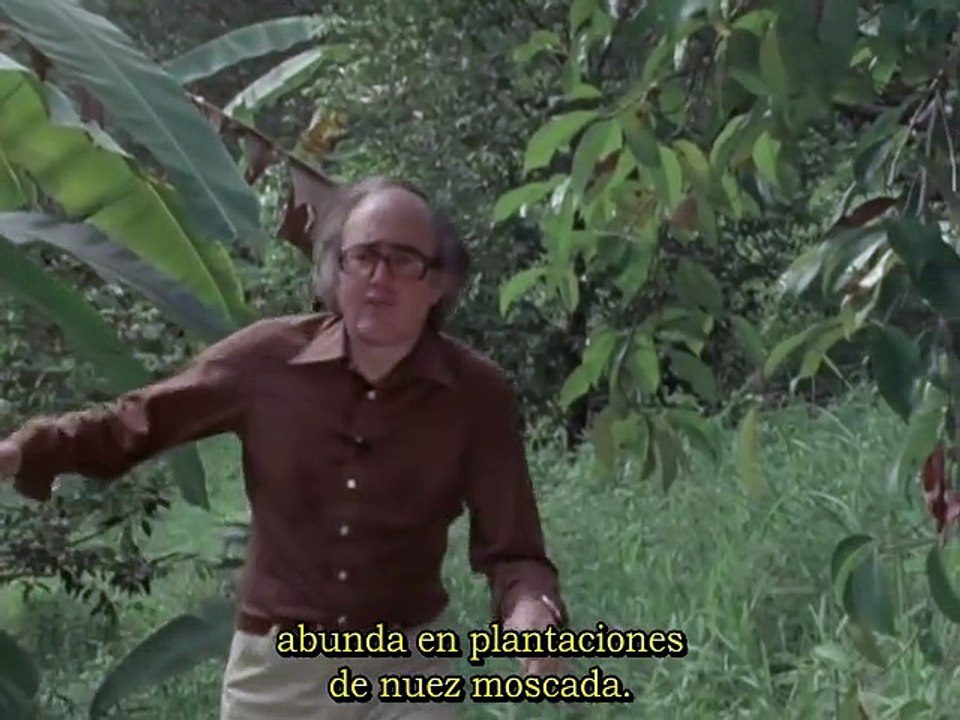 Conexiones - 7. La larga cadena - 1978