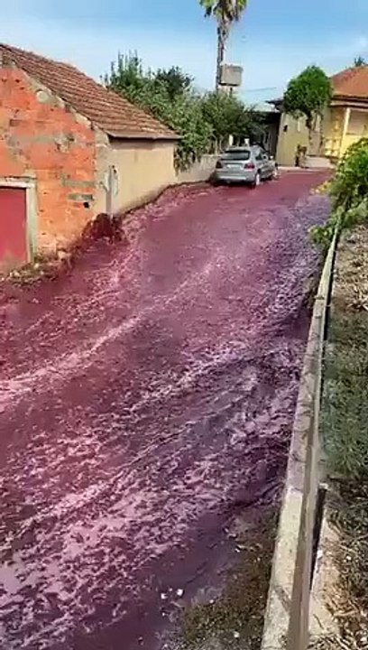 Portugal: inondation de vin rouge dans un village. Plus de 2,2 millions de litres de vin se sont déversés dans les rues après l'éclatement de cuves de la distillerie