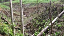 Campesinos hallaron siete cuerpos descompuestos en Putumayo, tras combates entre disidencias