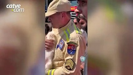 Casal deve responder por crime de maus-tratos após deixar cão trancado em carro sob sol escaldante