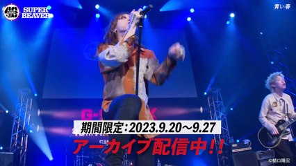 【期間限定！これを逃したら最後！】 SUPER BEAVER の熱いライブをアーカイブ配信決定！！