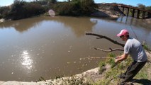 PESCA Y COCINA en la Costa del Rio Gualeguaychú | Salieron los BAGRES Moncholos | Pescando con Suscriptores