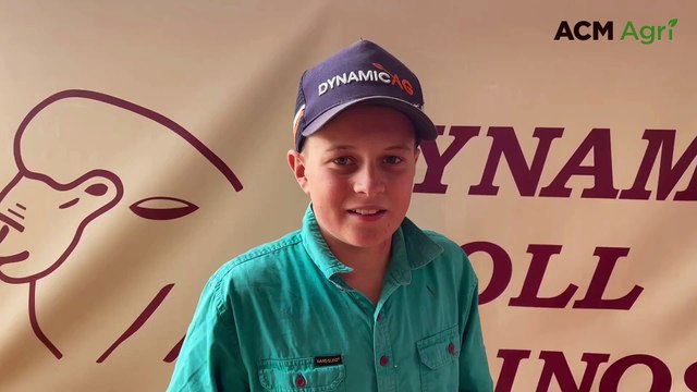 12-year-old Lachlan O'Brien buys a $2750 ram | September 21, 2023 | Stock & Land