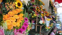 Este es el precio de las rosas amarillas en Coatzacoalcos ¿por qué se acostumbra obsequiarlas en estas fechas?