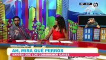 Manifestantes quieren que se les trate como perros