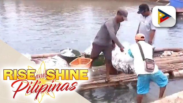 PBBM, nais magpatupad ng fishing ban sa mga breeding area para tugunan ang bumababang produksiyon...