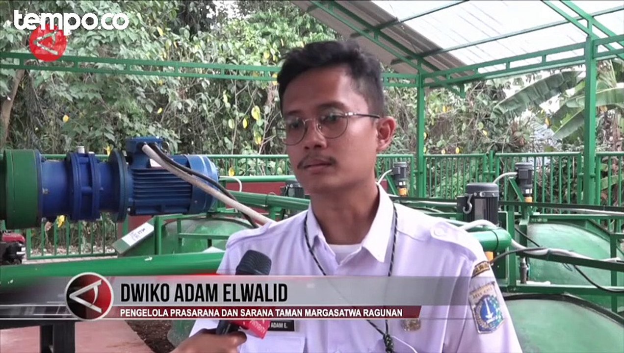 Kebun Binatang Ragunan Manfaatkan Kotoran Hewan...
