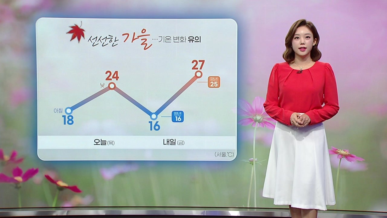 [날씨] 선선한 가을...기온 변화 유의 / YTN
