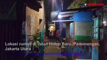 Petugas Damkar Evakuasi Tawon Vespa  dari Rumah Warga di Pademangan