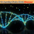 intresting facts about dinosaur ---- _ 10 amazing facts about dinosaur in hindi _shorts _dinosaurus(1080P_HD)