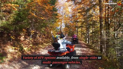 Discover the Beauty of Cave Creek, AZ with ATV Rentals
