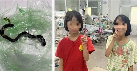 Chị em sinh đôi bị rắn hổ mang cắn