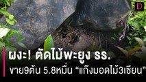 ตัดไม้พะยูง รร. ขาย9ต้น 5.8หมื่น ชาวบ้านขนานนาม