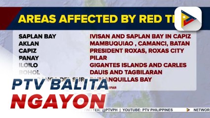 BFAR: Ilang baybayin sa Visayas at Mindanao, apektado ng red tide
