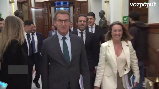 Feijóo sobre las palabras de Guerra y González contra Sánchez y la amnistía: Muy interesantes